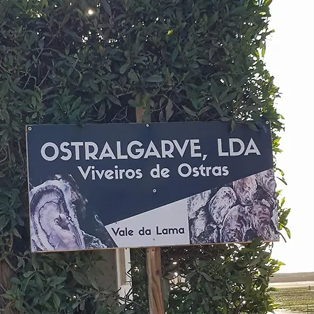 Apartamento Sunshine - Golfplayer And Holidays