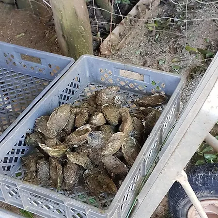 Sunshine - Golfplayer And Holidays Apartamento *